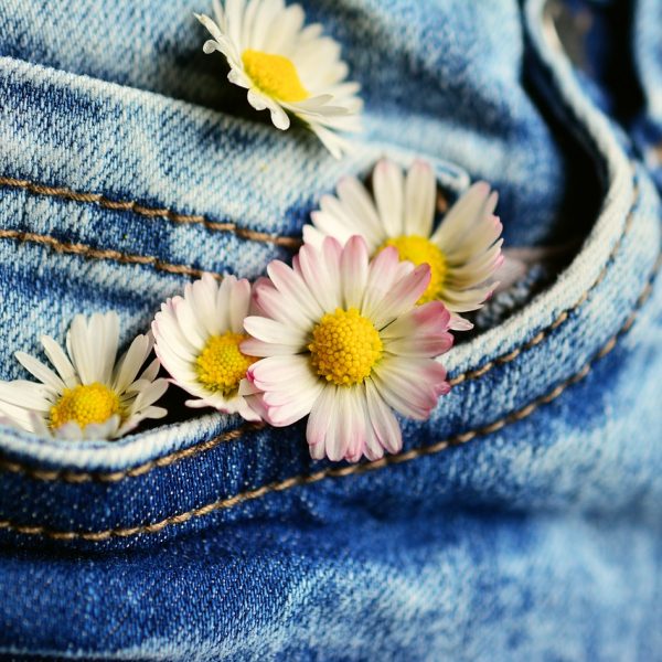 pocket, daisy, jeans-2324242.jpg